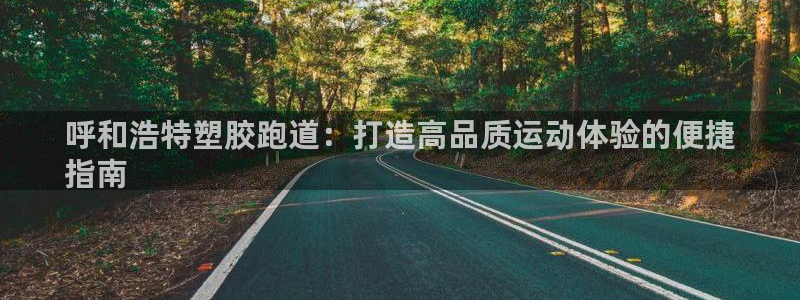 尊龙凯时客服：呼和浩特塑胶跑道：打造高品质运动体验的
