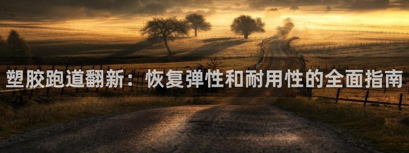 尊龙新版手机app下载：塑胶跑道翻新：恢复弹性和耐用