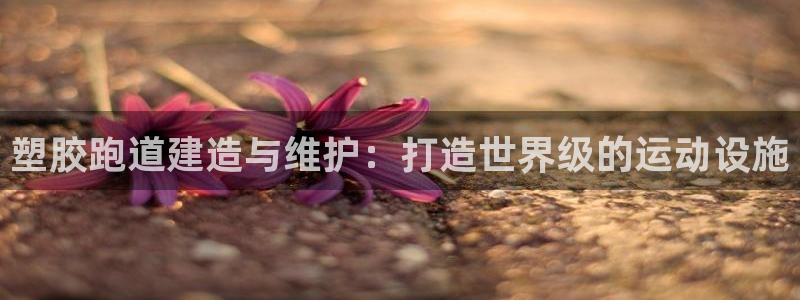 凯时国际app首页：塑胶跑道建造与维护：打造世界级的运动设施