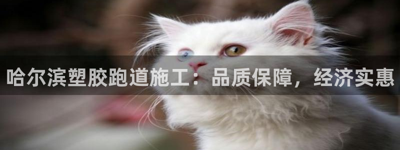 尊龙凯时正规吗：哈尔滨塑胶跑道施工：品质保障，经济实惠