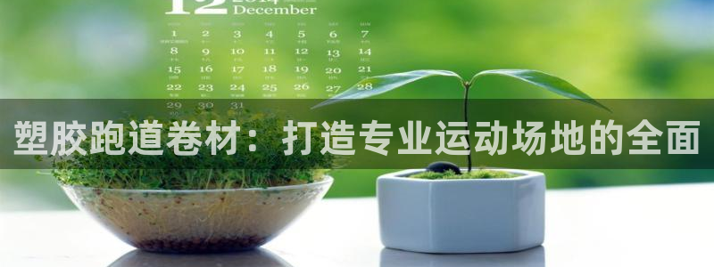 尊龙z6：塑胶跑道卷材：打造专业运动场地的全面