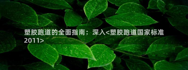 尊龙旗舰厅app：塑胶跑道的全面指南：深入<塑胶跑道国家标准
2011>