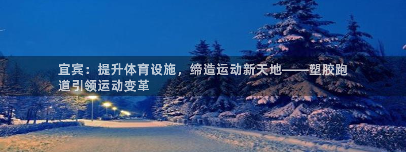 尊龙集团：宜宾：提升体育设施，缔造运动新天地——塑胶跑
道引领运动变革