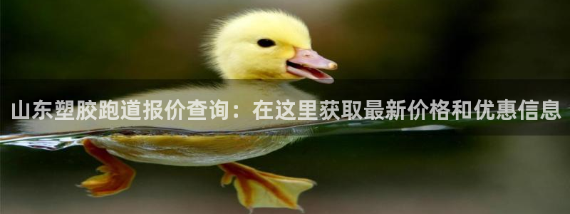 尊龙t600怎么样：山东塑胶跑道报价查询：在这里获取最新价格和优惠信息