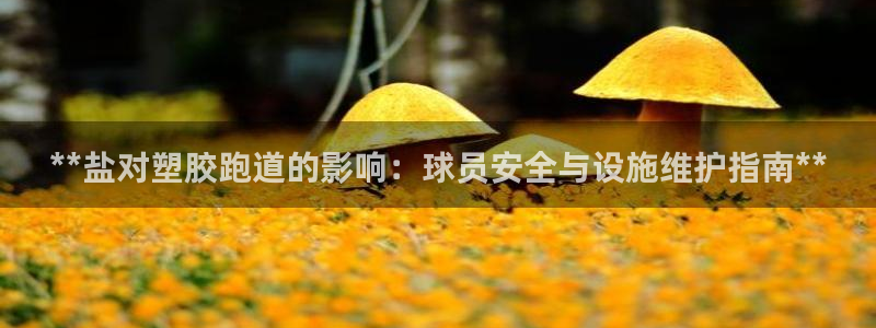 尊龙凯时邀请码：**盐对塑胶跑道的影响：球员安全与设施维护指南**