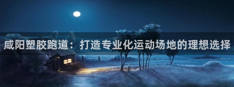 尊龙 国外：咸阳塑胶跑道：打造专业化运动场地的理想选择