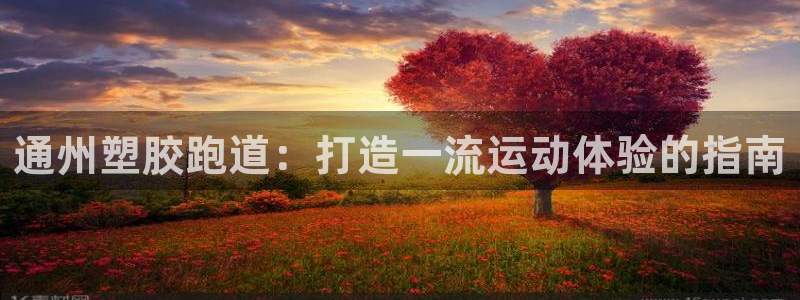 尊龙人生就是博电脑版：通州塑胶跑道：打造一流运动体验的指南