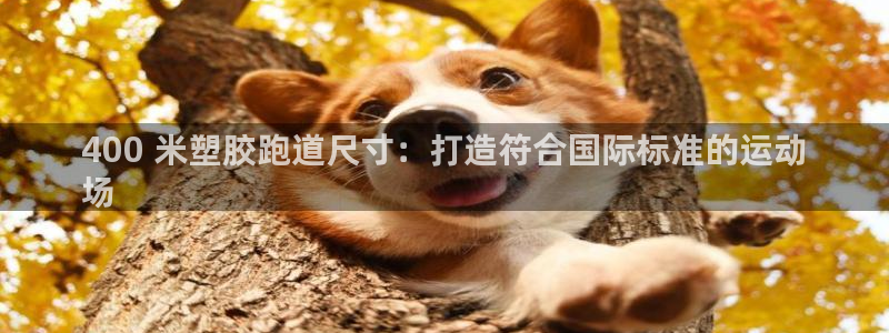z6com尊龙凯时：400 米塑胶跑道尺寸：打造符合国际标准的运动
场