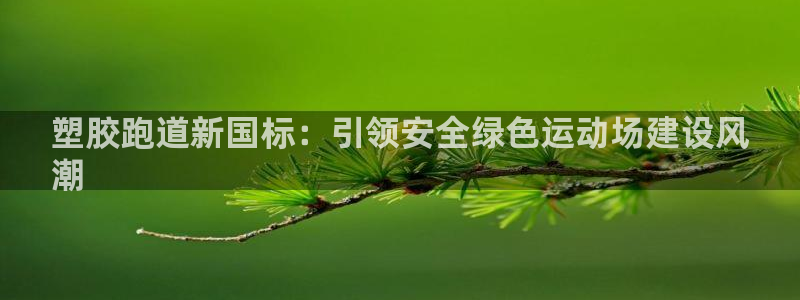 尊龙网址是选访问zd207：塑胶跑道新国标：引领安全绿色运动场建设风
潮