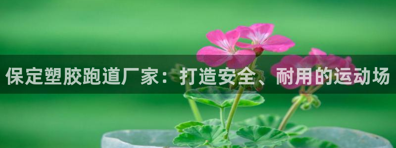 尊龙凯时有封银行卡的吗：保定塑胶跑道厂家：打造安全、