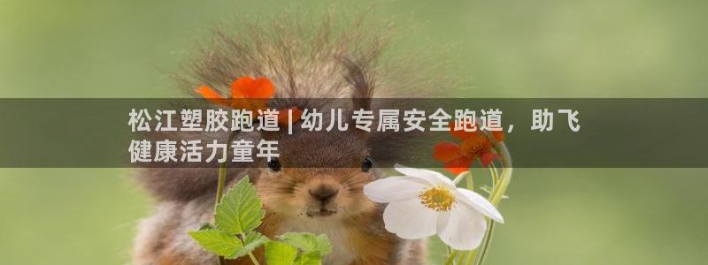 AG尊龙凯时注册：松江塑胶跑道 | 幼儿专属安全跑道，助飞
健康活力童年
