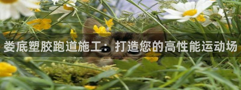 尊龙凯时游戏厅：娄底塑胶跑道施工：打造您的高性能运动场