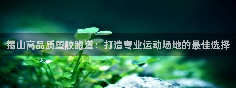 尊龙-人生就是博：锡山高品质塑胶跑道：打造专业运动场
