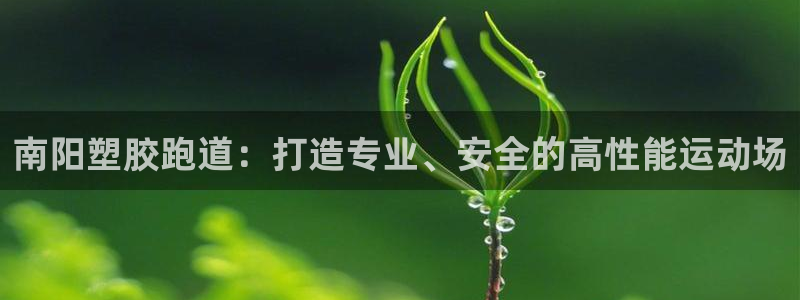 ZL尊龙凯时平台：南阳塑胶跑道：打造专业、安全的高性