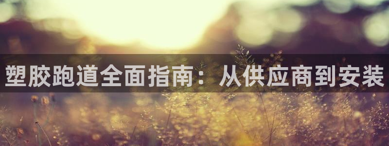 尊龙凯时人生就是搏技术实力：塑胶跑道全面指南：从供应