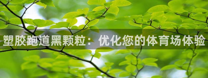 尊龙人生就是博l