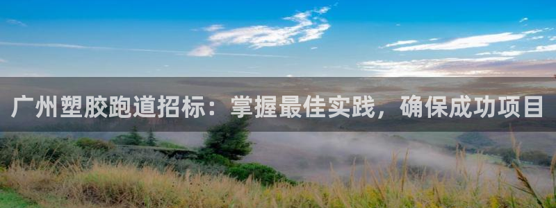 尊龙人生就是傅官网：广州塑胶跑道招标：掌握最佳实践，