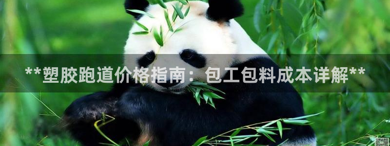 怎样能成为尊龙凯时平台的会员：**塑胶跑道价格指南：