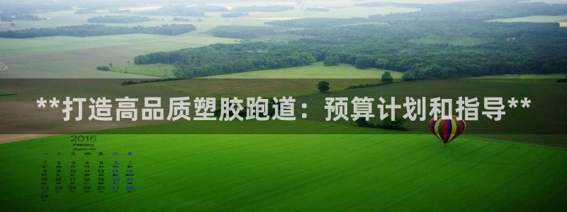 d88尊龙官网登录免费下载：**打造高品质塑胶跑道：预算计划和指导**