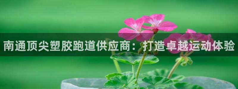 尊龙app认可ag发财网：南通顶尖塑胶跑道供应商：打造卓越运动体验