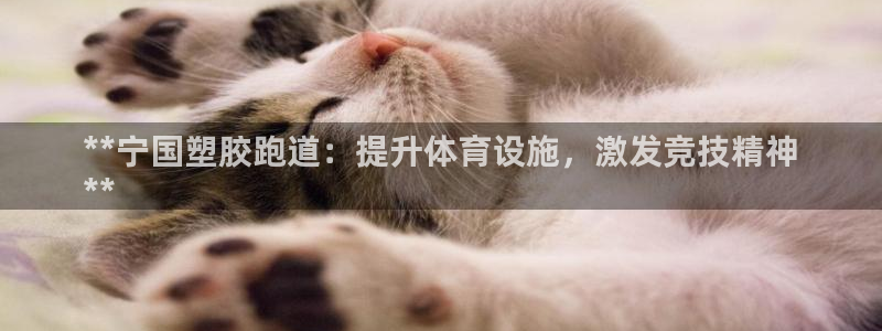 尊龙手机端下载：**宁国塑胶跑道：提升体育设施，激发