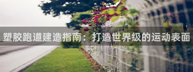尊龙公司：塑胶跑道建造指南：打造世界级的运动表面