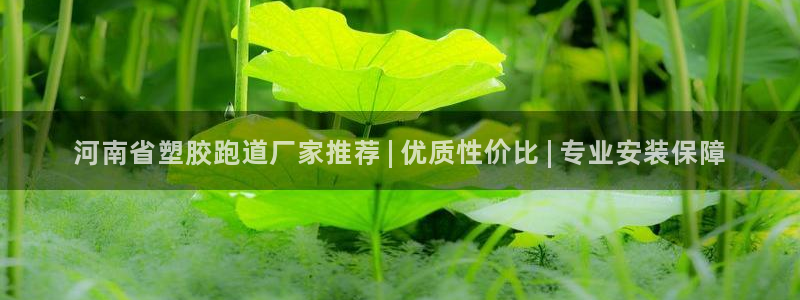 尊龙官方平台是正品吗：河南省塑胶跑道厂家推荐 | 优