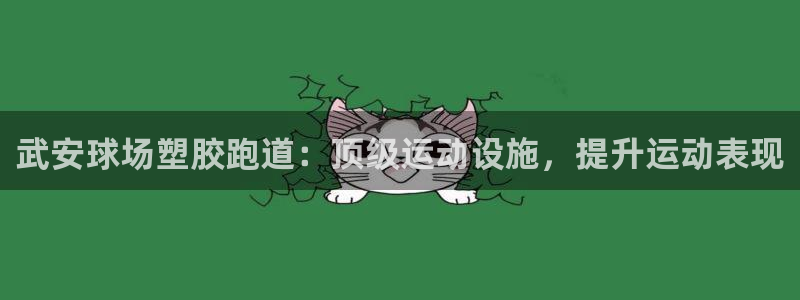 ag尊龙凯时俱乐部：武安球场塑胶跑道：顶级运动设施，提升运动表现