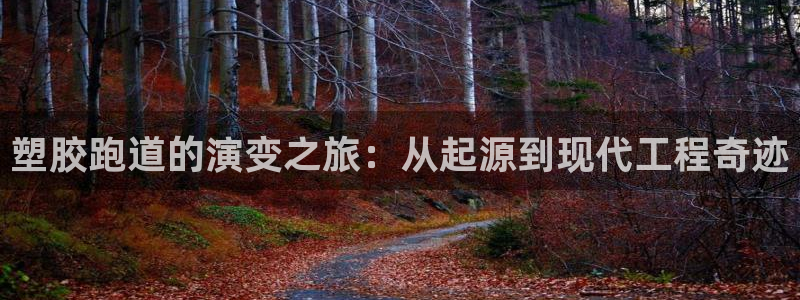 尊龙集团有限公司地址：塑胶跑道的演变之旅：从起源到现代工程奇迹