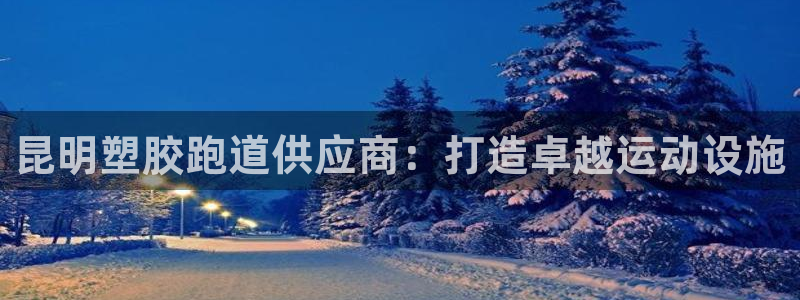 尊龙人生就是博网站下载：昆明塑胶跑道供应商：打造卓越运动设施