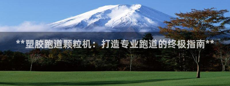 尊龙一人生就是博电子游戏：**塑胶跑道颗粒机：打造专业跑道的终极指南**