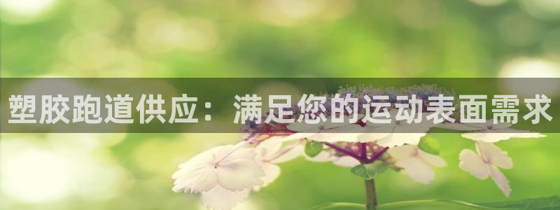 凯时k88最新：塑胶跑道供应：满足您的运动表面需求
