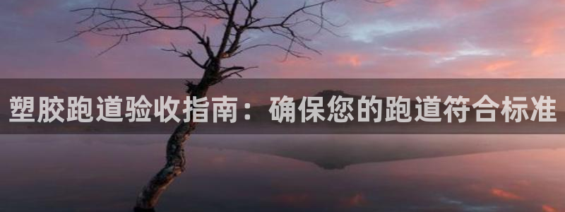 尊龙凯时代理官网入口：塑胶跑道验收指南：确保您的跑道符合标准