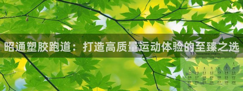 尊龙手机客户端下载：昭通塑胶跑道：打造高质量运动体验的至臻之选