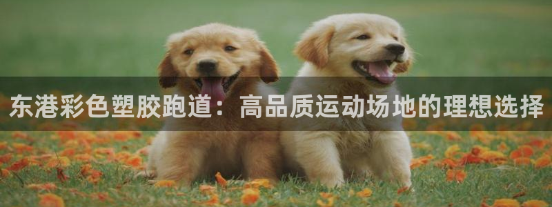 尊龙z6官网：东港彩色塑胶跑道：高品质运动场地的理想