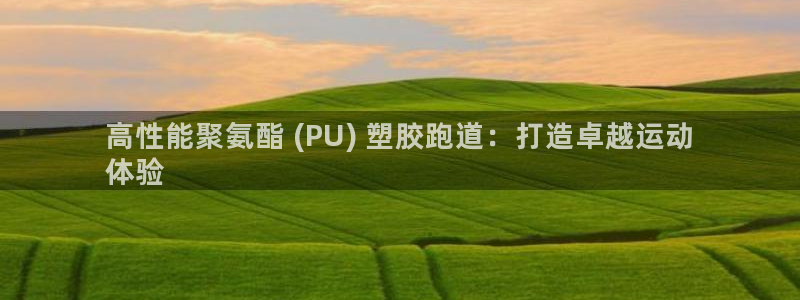 尊龙会ktv价格：高性能聚氨酯 (PU) 塑胶跑道：打造卓越运动
体验