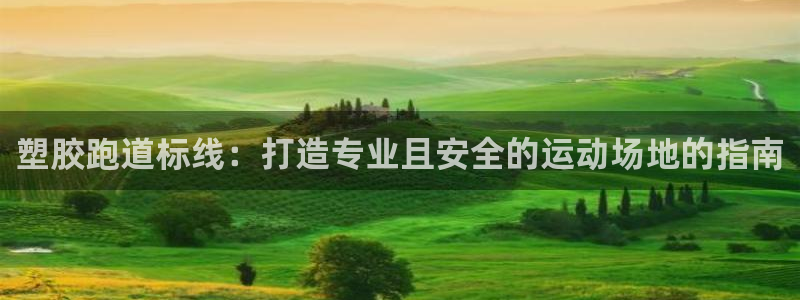 凯时国际app首页下载：塑胶跑道标线：打造专业且安全的运动场地的指南