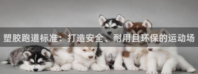 尊龙凯时开发