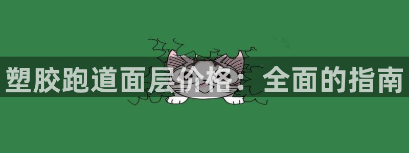 尊龙人生就是博电脑版：塑胶跑道面层价格：全面的指南