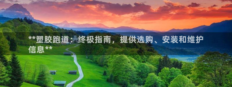香港尊龙：**塑胶跑道：终极指南，提供选购、安装和维护
信息**