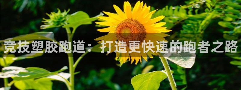 尊龙旗舰app：竞技塑胶跑道：打造更快速的跑者之路