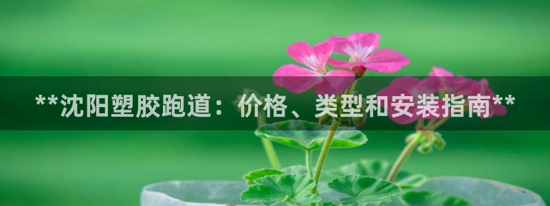 凯时kb88会员登录：**沈阳塑胶跑道：价格、类型和