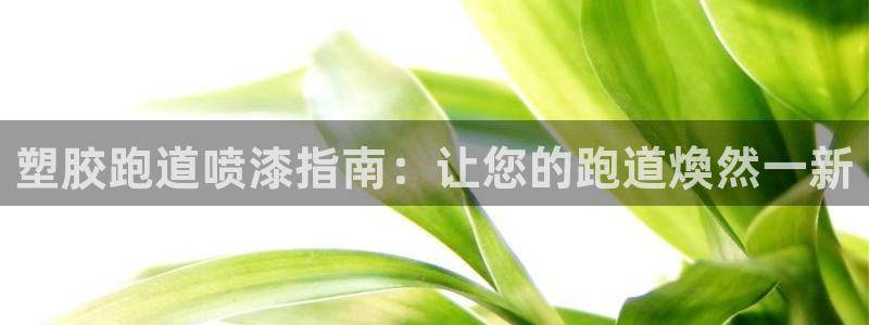 ZL尊龙凯时集团：塑胶跑道喷漆指南：让您的跑道煥然一