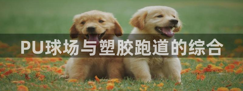 尊龙凯时一人生就是博官网：PU球场与塑胶跑道的综合
