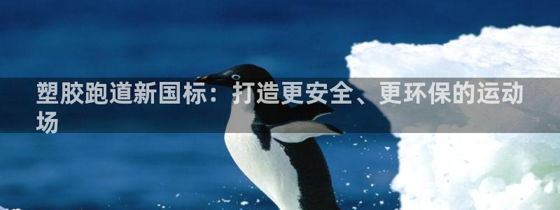 尊龙人生就要博旧版：塑胶跑道新国标：打造更安全、更环保的运动
场