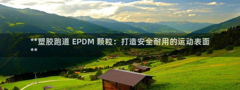尊龙凯时ag旗舰厅试玩：**塑胶跑道 EPDM 颗粒