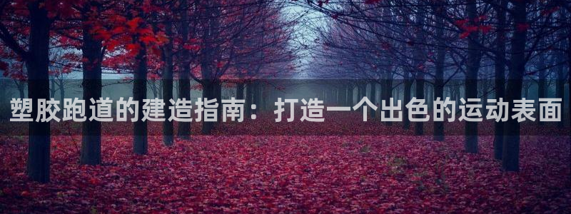 尊龙,人生就是搏：塑胶跑道的建造指南：打造一个出色的运动表面