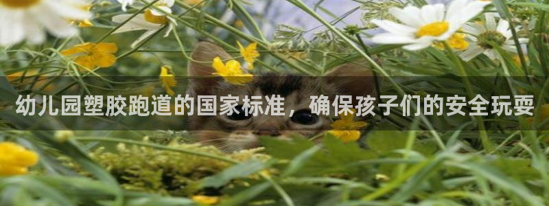尊龙ag旗舰厅官网官方入口：幼儿园塑胶跑道的国家标准，确保孩子们的安全玩耍