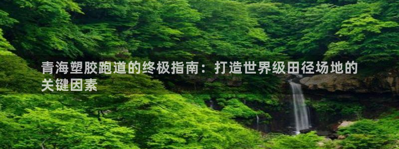 尊龙人生就是一博!：青海塑胶跑道的终极指南：打造世界级田径场地的
关键因素