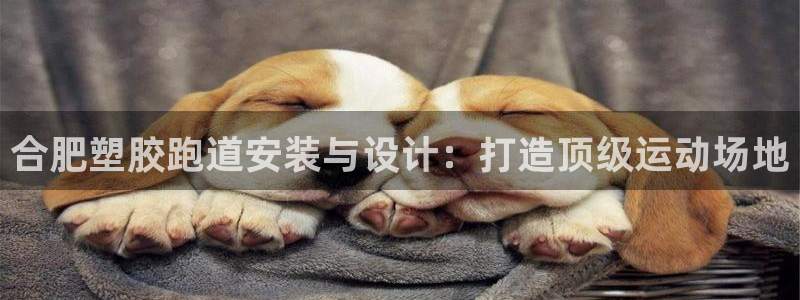 尊龙凯时不给提现怎么办：合肥塑胶跑道安装与设计：打造顶级运动场地